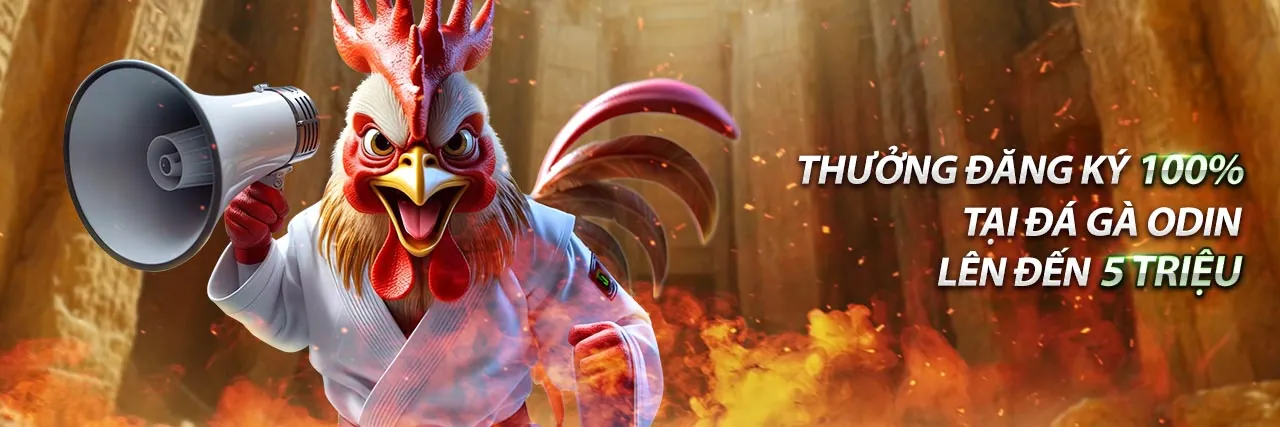 Hình ảnh minh họa đá gà trực tuyến tại MOT88, với hai chú gà chọi trong sàn đấu.